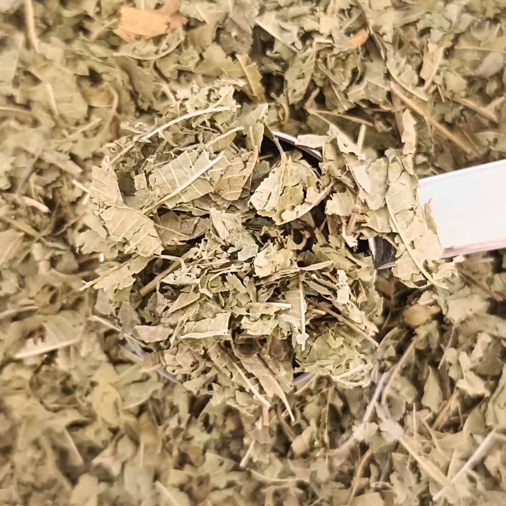 Hierba Luisa - Imagen 2